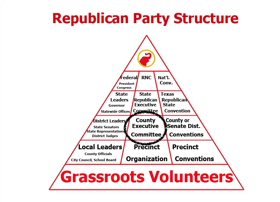 Party Structure